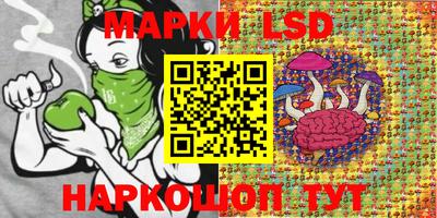 ПСИЛОЦИБИНОВЫЕ ГРИБЫ Бийск