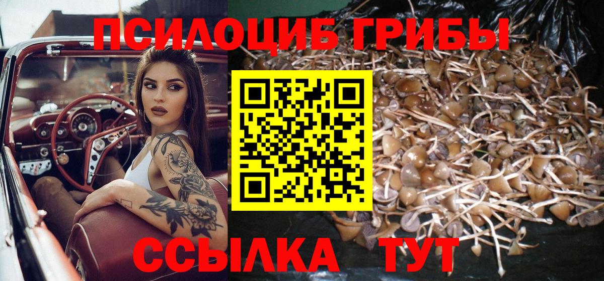 Изобильный  Галлюциногенные грибы MAGIC MUSHROOMS  Вход с VPN 